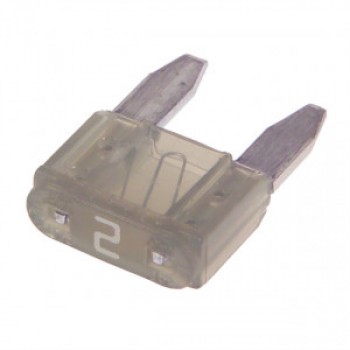 Fusible Mini ATC pour automobile 2 Amp, Paquet de 5 de Global Tone