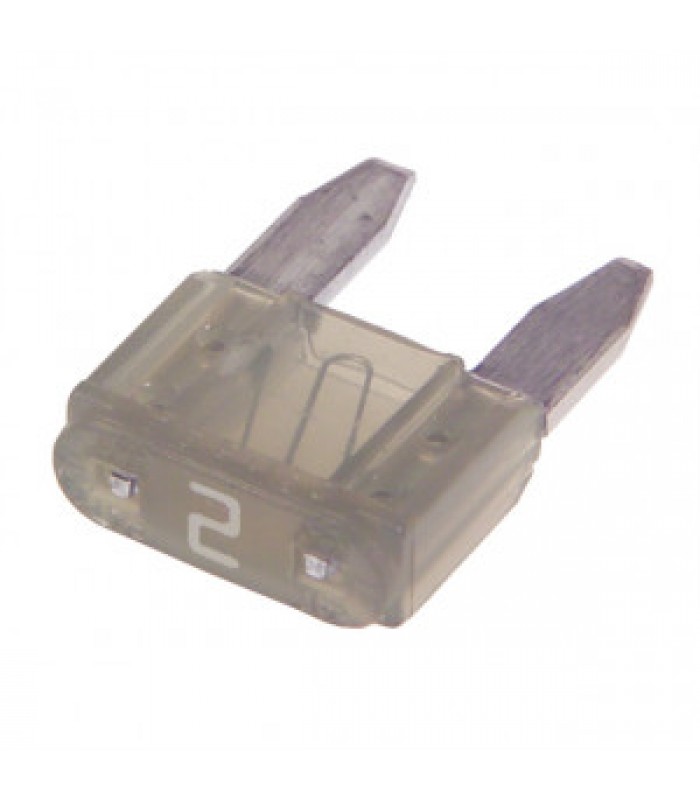 Global Tone Automotive Mini ATC Blade fuse 2 Amp, Pack of 5