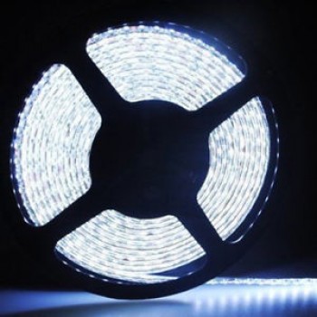 Global Tone Bande DEL Blanc Froid 5M autocollante IP65 3528 120DEL/m