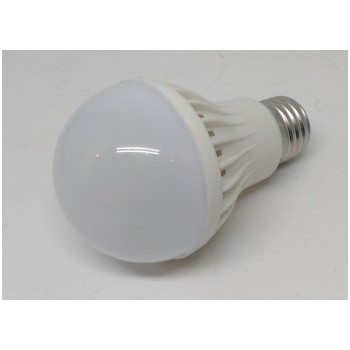Global Tone LED Light Bulb, 12VDC, E27, 100L-W, 5W, 6500K