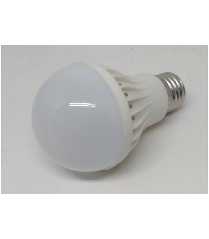 Global Tone LED Light Bulb, 12VDC, E27, 100L-W, 5W, 6500K