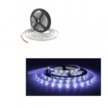 GlobalTone Ruban DEL (LED Strip) Blanc Froid, 2835, 60 DELS/m, 5 mètres, IP65