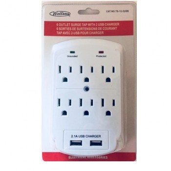 Prise de courant mural Wellson à 6 prises avec surtension et 2 ports 2,1A USB (CETL) 