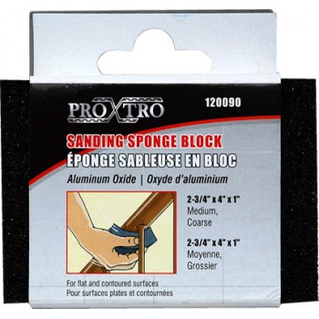 Éponge de ponçage moyenne grossière (oxyde d'aluminium) de Pro-X-Tro