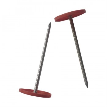 Fasteners Tête en plastique électro-galvanisé 2 po. - Boîte de 100