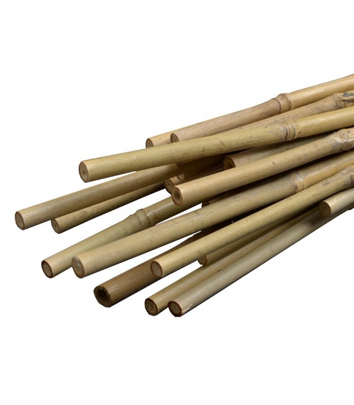 Bamboo Stakes 48 in. - Pack of 15