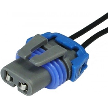 Ampoule halogène pour feu de croisement deux fils de Pico Canada