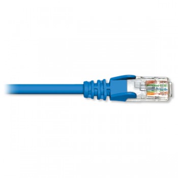 Blue Diamond Cat6 Network Patch Cable BL, 7ft
