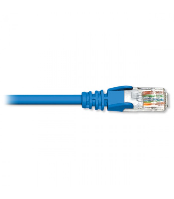 Blue Diamond Cat6 Câble réseau BL, 14 pi.