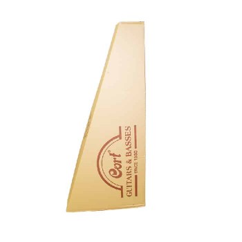 Cort Acoustic Guitar