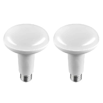 Ampoule DEL BR30 - 120V - 8W - E26 - 5000K - Paquet de 2