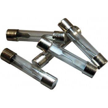 Pico Canada 10A AGC Glass Fuses