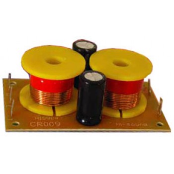 Séparateur de fréquences à 2 voies 300 W de Power Pro Audio