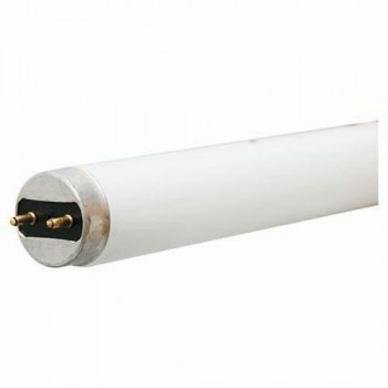 Tube fluorescent F32T8 / 841 4100K 32W 48 po