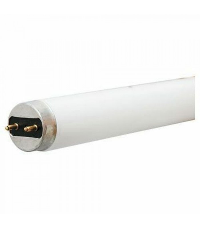 Tube fluorescent F32T8 / 841 4100K 32W 48 po