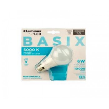 Luminus LED Basix 6 Watt A19 5000K Daylight