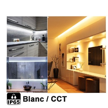 Bande DEL flexible avec télécommande - IP65 - Blanc et TCC - 5 m