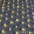 LED Light Net - 784 LED - 3000 K - IP44 - 2.7 m X 2.7 m