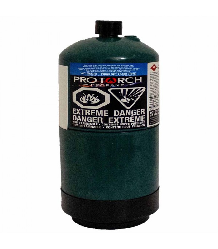 Bouteille de gaz de camping Bernzomatic Propane 453g