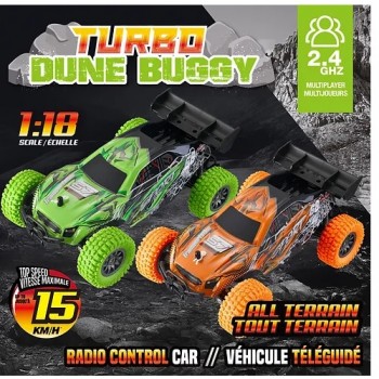 Dune Buggy R/C