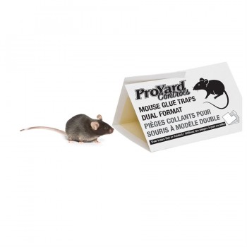 ProYard Pièges collants pour souris - 2 Formats