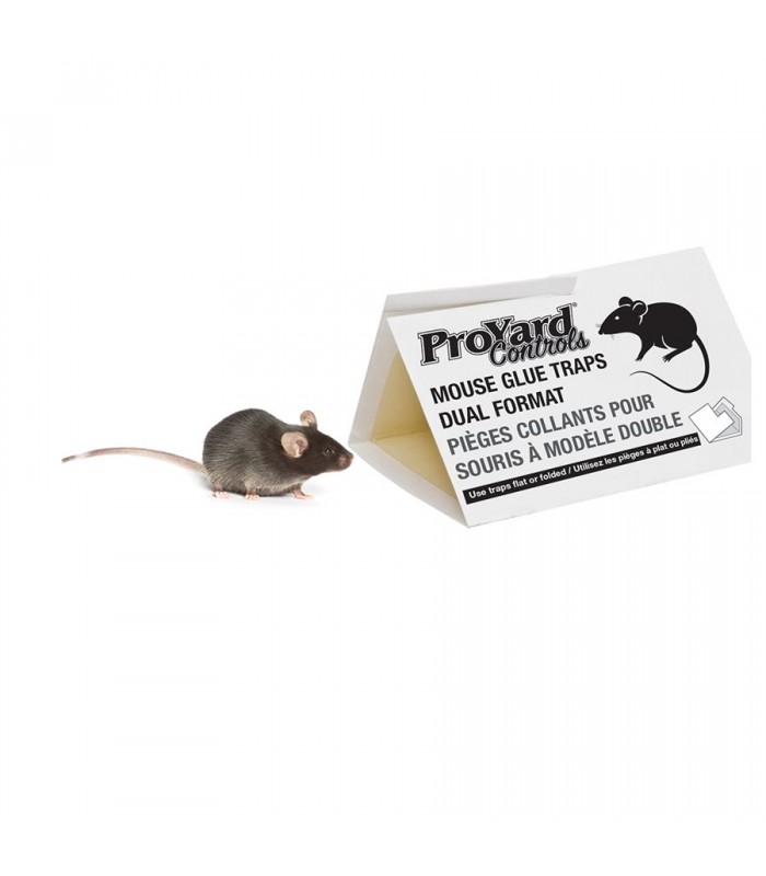 ProYard Mouse glue traps dual format