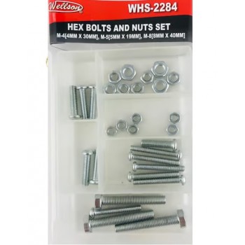 Wellson Jeu de boulons et écrous Métrique
