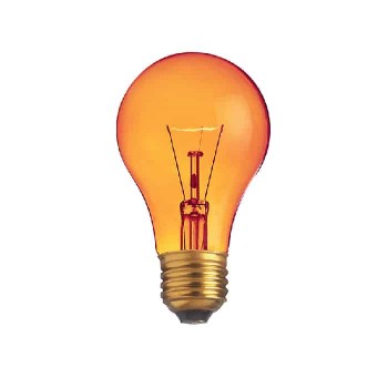 Xtricity A19 Party Light Bulb - 130 V - 60 W - E26 - Amber