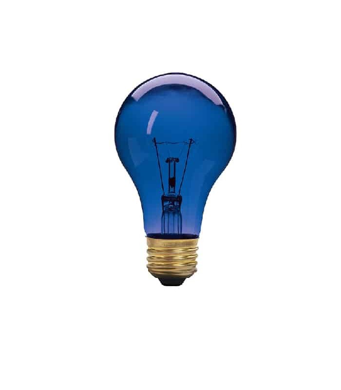 Xtricity A19 Party Light Bulb - 130 V - 60 W - E26 - Blue