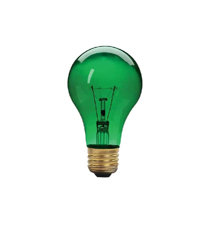 Xtricity Ampoule de fête A19 - 130 V - 60 W - E26 - Vert