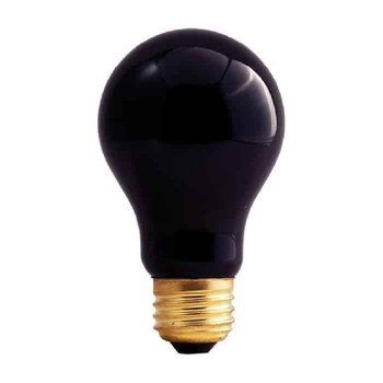 Xtricity Black Party Bulb A19 - 130 V - 75 W - E26 - Black Light