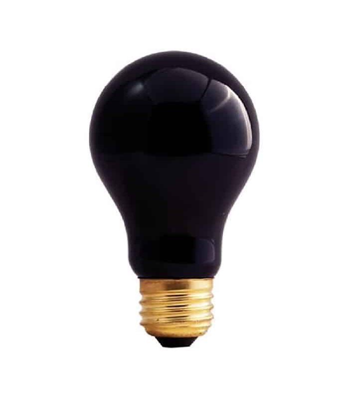 Xtricity Black Party Bulb A19 - 130 V - 75 W - E26 - Black Light