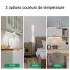 Ason Decor Luminaire DEL portable rechargeable à têtes rotatives avec minuterie intégrée - TCC ajustable - 10 W - 42.8 cm