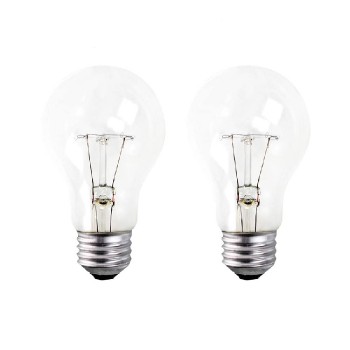 A19 Incandescent Light Bulb - 120 V - 100 W - E26 - Clear - Pack of 2