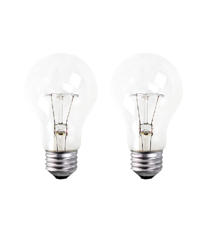 A19 Incandescent Light Bulb - 120 V - 100 W - E26 - Clear - Pack of 2