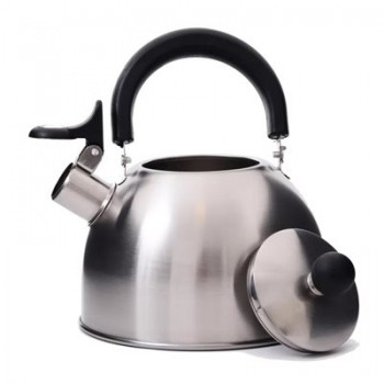 1.7L Electric Tea Kettle - Wicked Tea & More