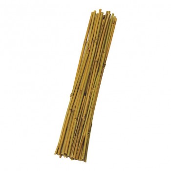 Holland greenhouse 2 ft. x 6-8 mm Bamboo Stakes - 25 pieces