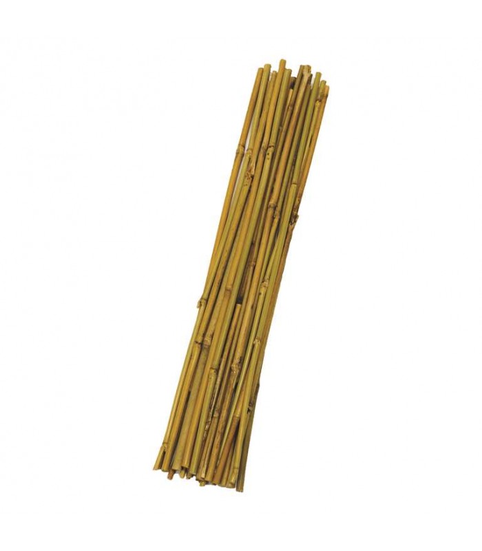 Holland greenhouse 2 ft. x 6-8 mm Bamboo Stakes - 25 pieces