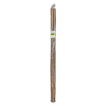 Holland Greenhouse Piquets en bambou 5 pi x 10-12 mm - 12 pièces