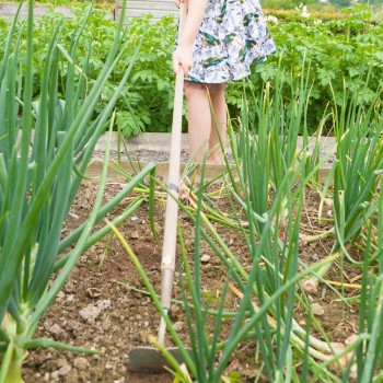 ProYard Binette de jardin avec manche en bois de 72 po.