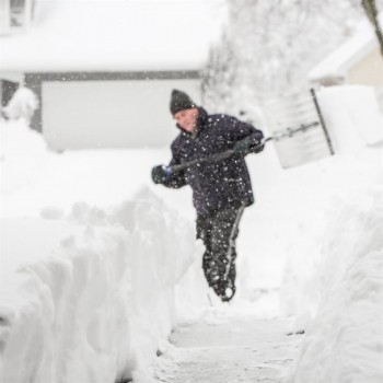 ProYard Pousse-neige 20 po. Poignée en D en fibre de verre à lame en poly 51 po.