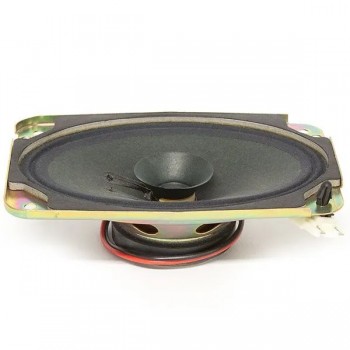 Haut-Parleur 4 po. X 6 po. 10 Watts