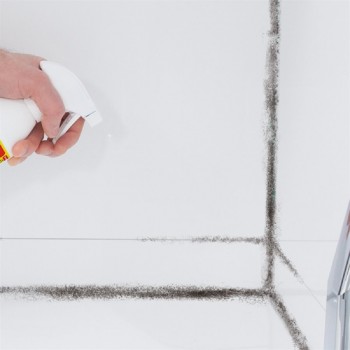 HG Spray destructeur de moisissures pour salle de bain 500ml