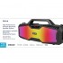 Borne Haut-Parleur Bluetooth portables haute performance - Noir