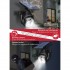 RCA Solar-powered LED motion light with dummy security camera