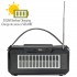 Escape 8W Solar Powered Rechargeable WirelessTWS Speaker with FM Radio, two LED lights and microphone