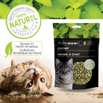 Animooos Catnip 1 oz Sac Refermable