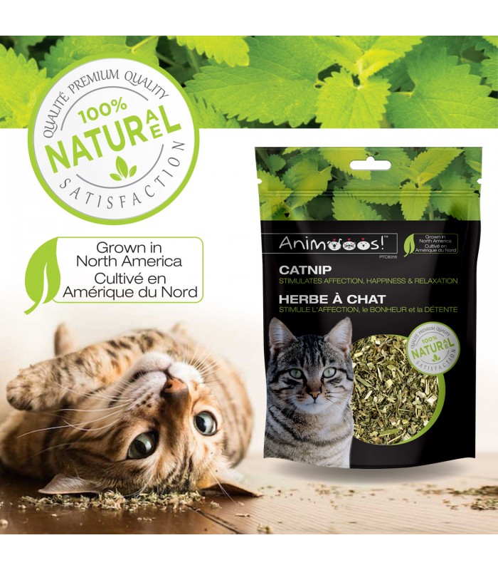 Animooos Catnip 1oz Resealable Bag