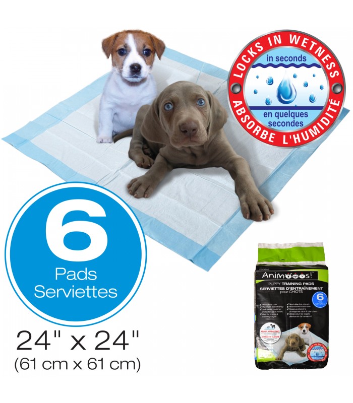 Animooos Puppy Training Pads with attractant, 61x61cm - Pack of 6