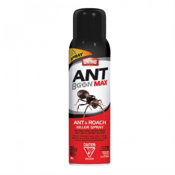 Ant B Gon Max Ant & Roach Killer Spray 400g